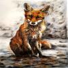 <span>[Sold]</span> Red Fox
